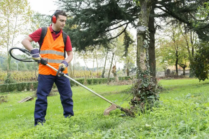 Grass Cutting