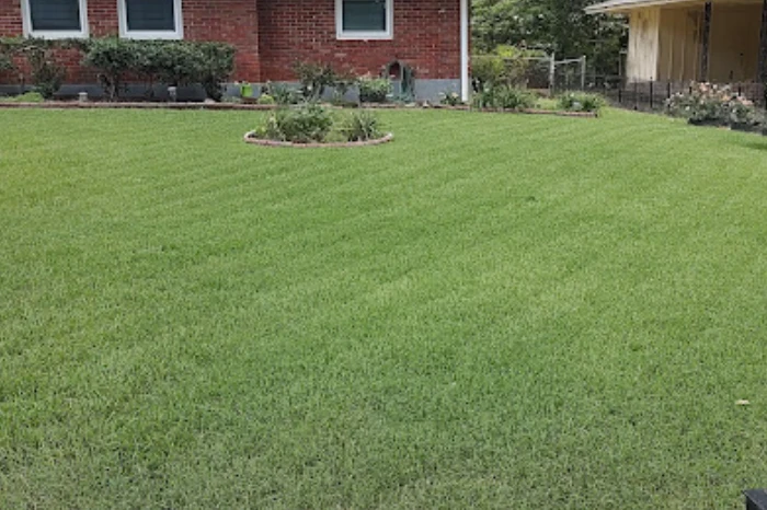Landscaping Contractor in Memphis, TN