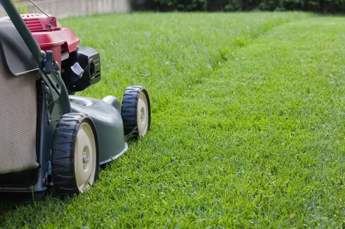Lawn Maintenance