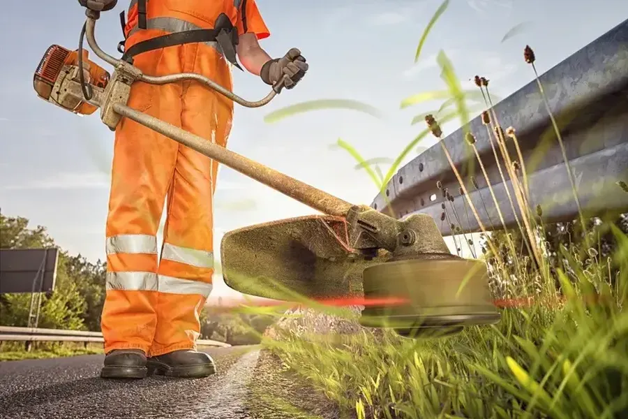 Benefits Of Hiring A Landscaper For Grass Cutting Memphis, TN