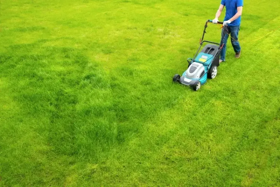 Benefits Of Hiring A Landscaper For Grass Cutting in Memphis, TN