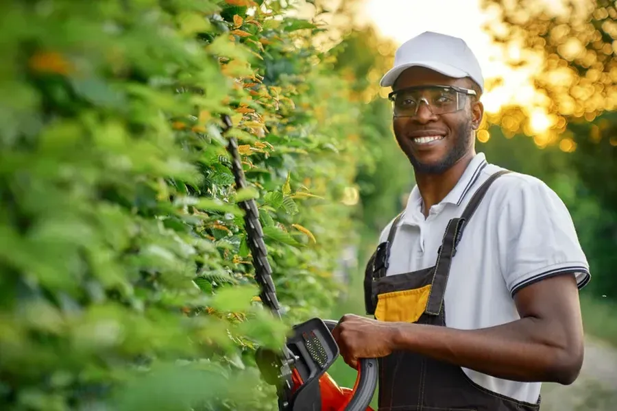 Expert Hedge Trimming Memphis, TN