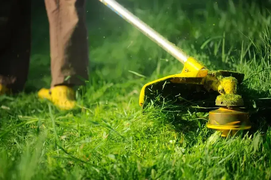 How Grass Cutting Helps Prevent Weed Growth Memphis, TN