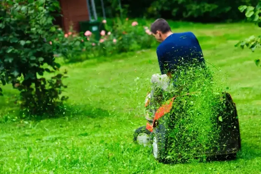 How Grass Cutting Helps Prevent Weed Growth in Memphis, TN