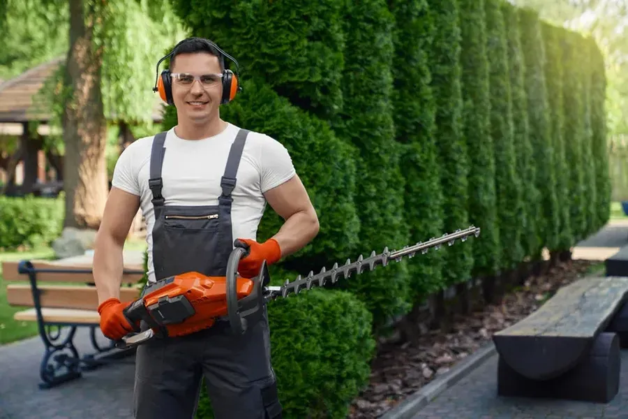 How Hedge Trimming Enhances Curb Appeal And Property Value Memphis, TN