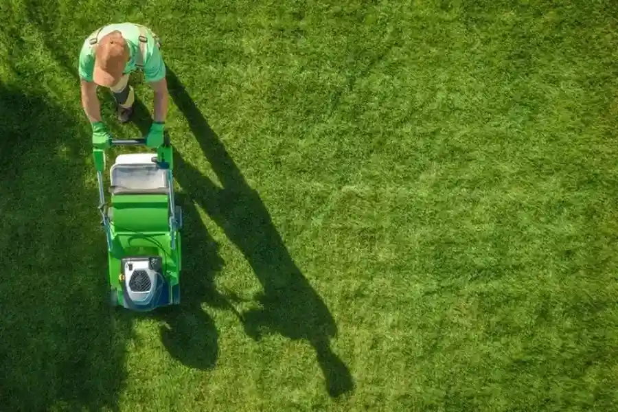 Reputable Grass Cutting Memphis, TN