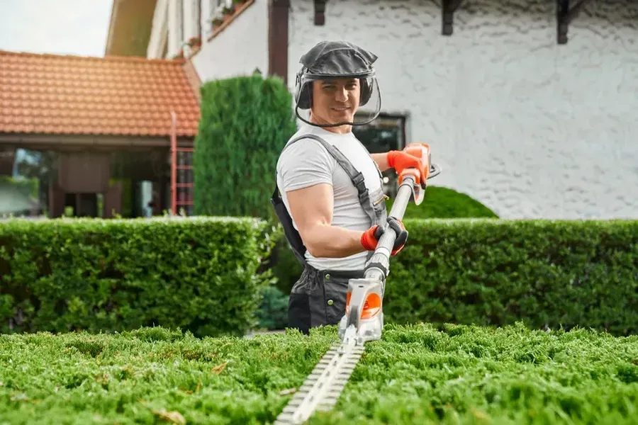 The Impact Of Hedge Trimming On Sunlight And Air Circulation in Memphis, TN