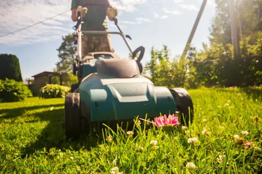 Top-rated Grass Cutting Memphis, TN